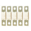 Victron MEGA Fuse 80A/80V (Package of 5 Pieces)